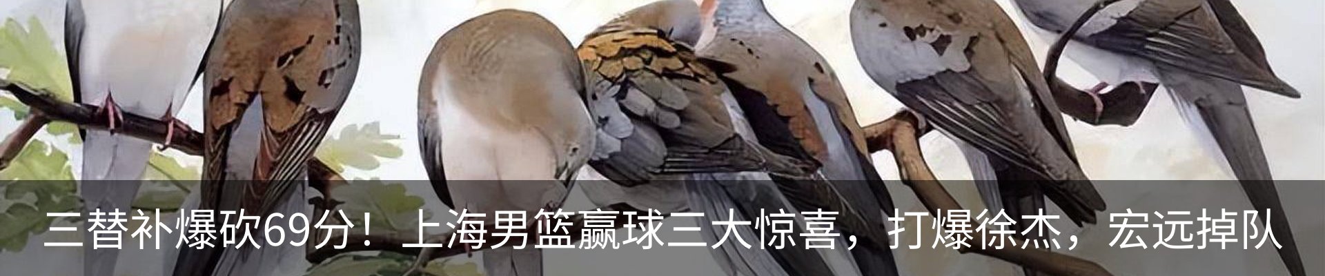 内页banner
