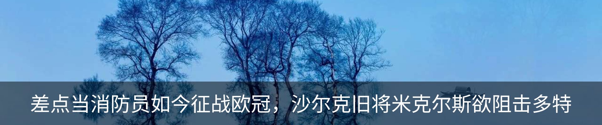 内页banner