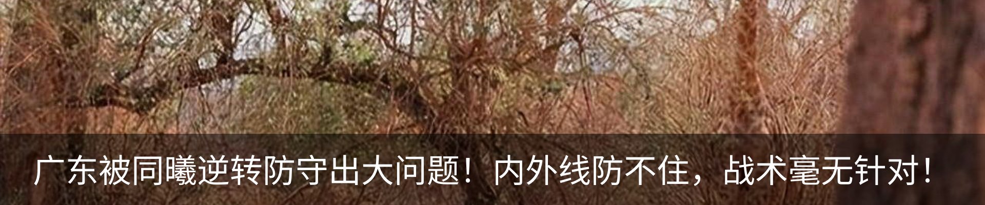 内页banner