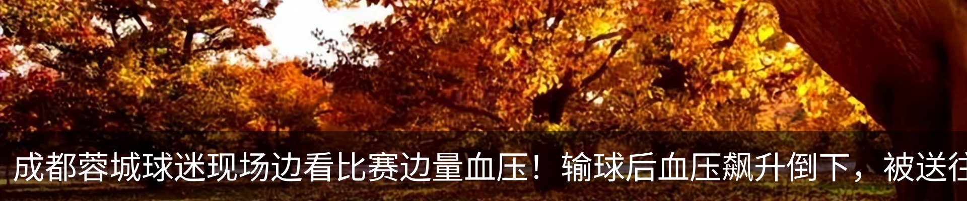 内页banner