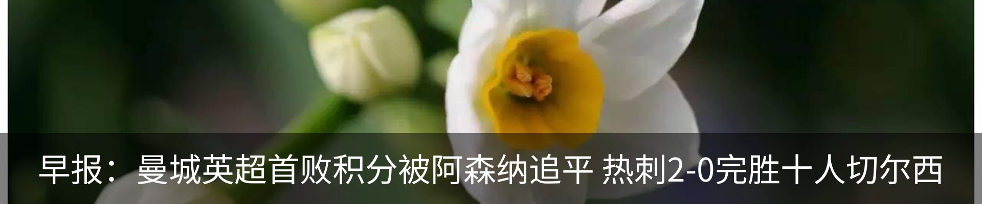 内页banner